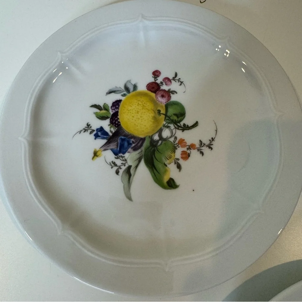 VOHENSTRAUSS-Johann Seltmann-Bavarian Germany Botanical Fruit salad plates